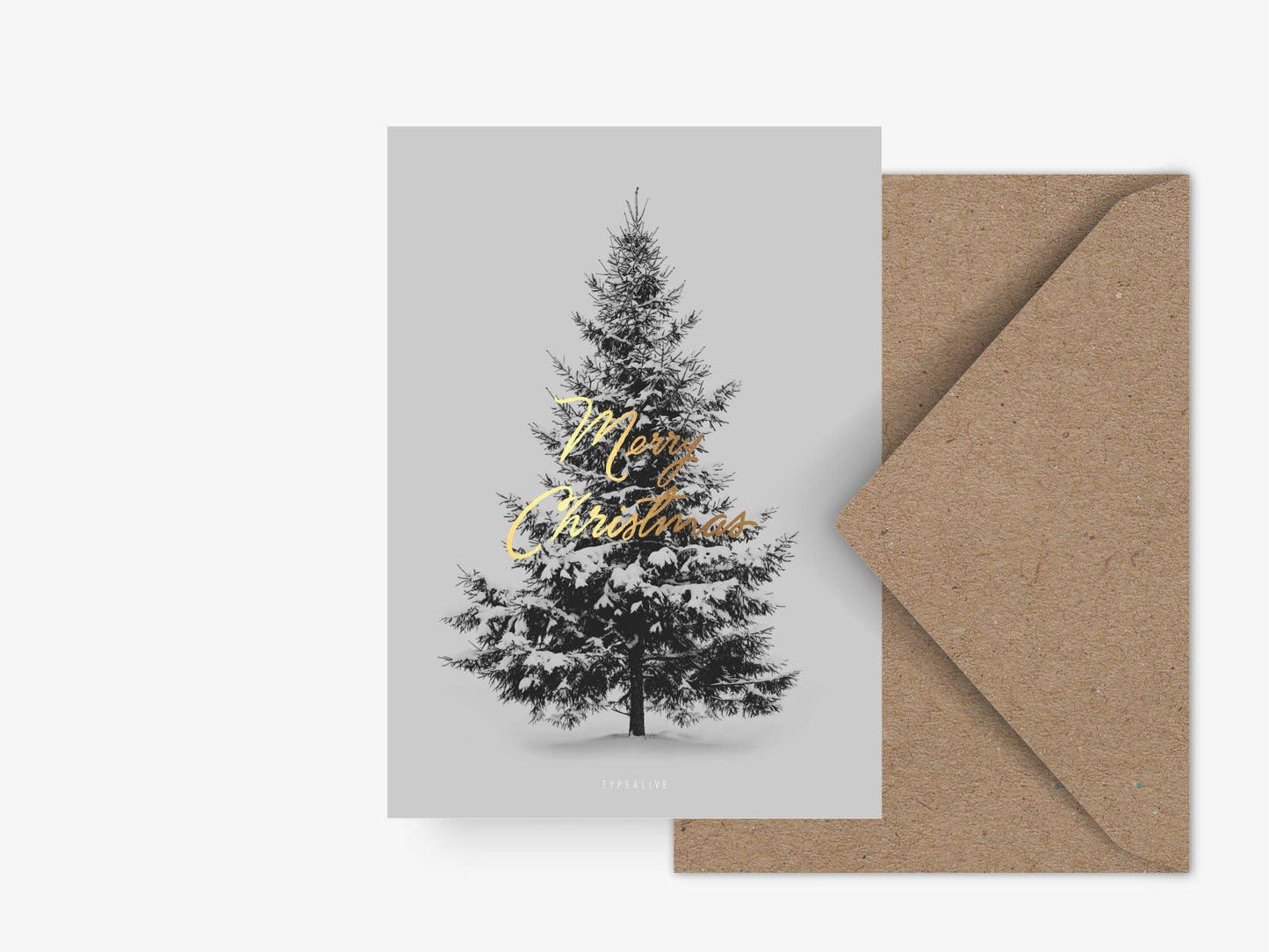 Postcard/Merry Christmas Fir