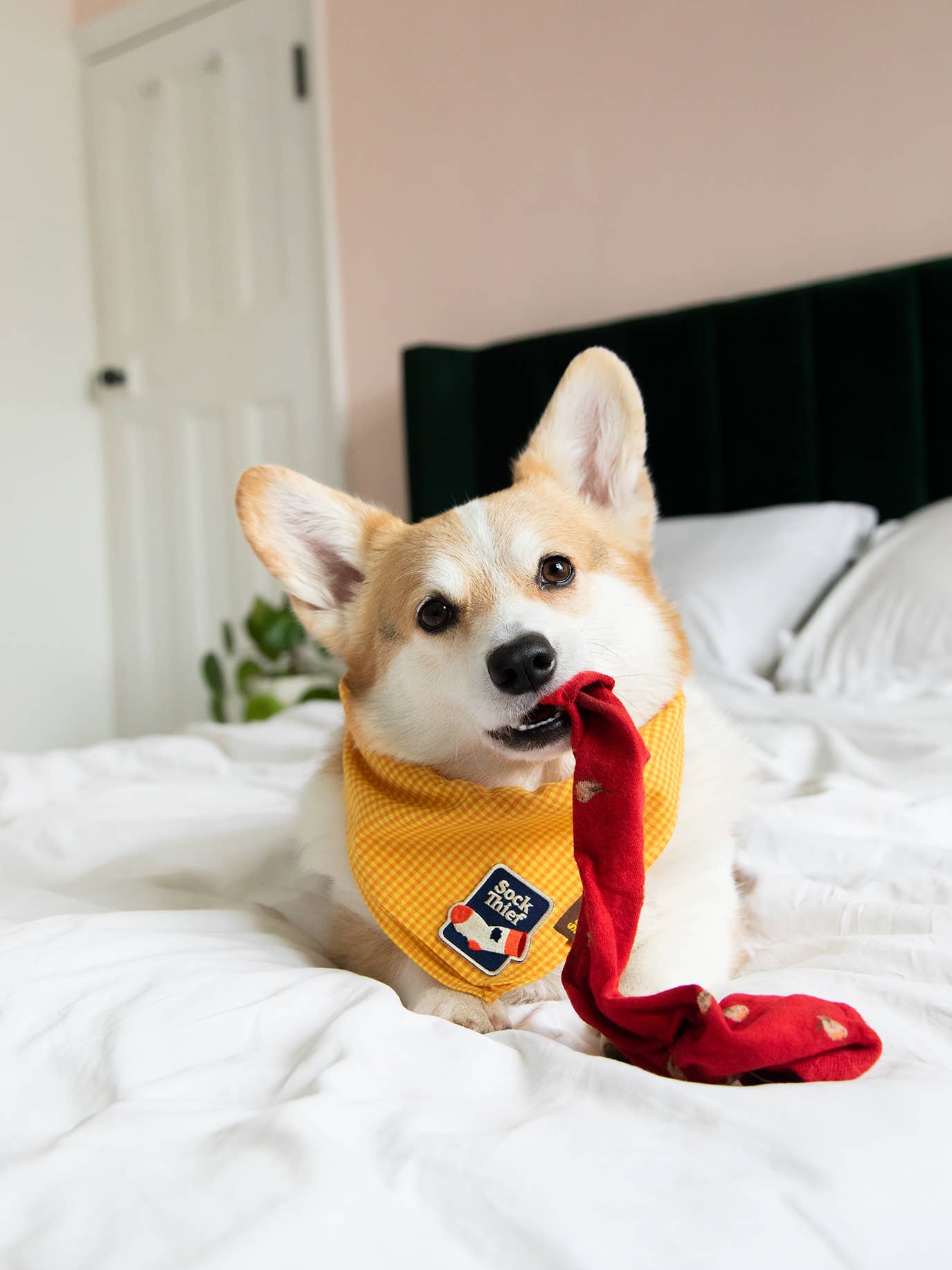 Silitettävä kangasmerkki, "Sock Thief"