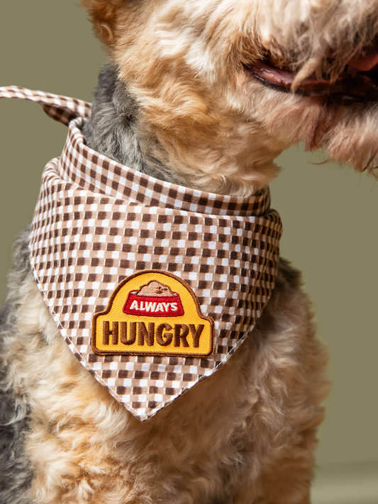 Silitettävä kangasmerkki, "ALWAYS HUNGRY"