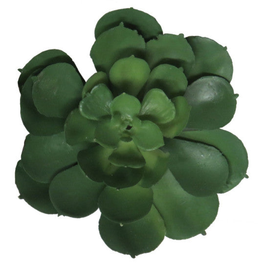 Mehikasvi tikussa – 12 cm